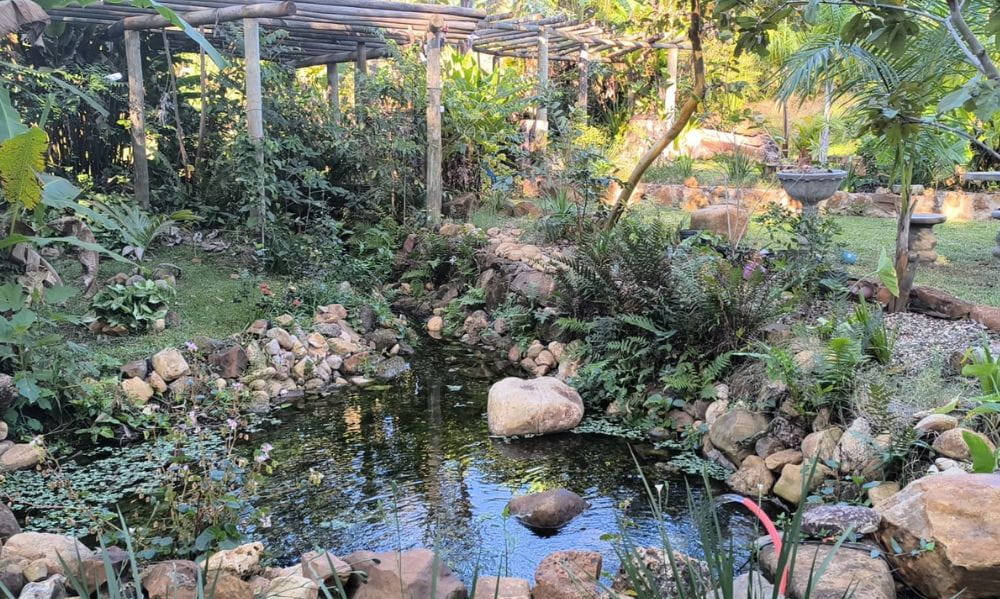 belo-quinto-garden-café-bar (3)